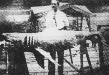 la-verdadera-historia-que-inspiro-tiburon_full_landscape